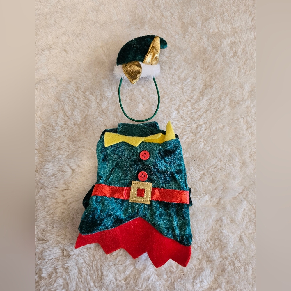 Festive Elf Reptile Costume